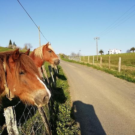 Agroturismo Pagoederraga Orio Exteriör bild