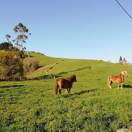 Agroturismo Pagoederraga Orio Exteriör bild