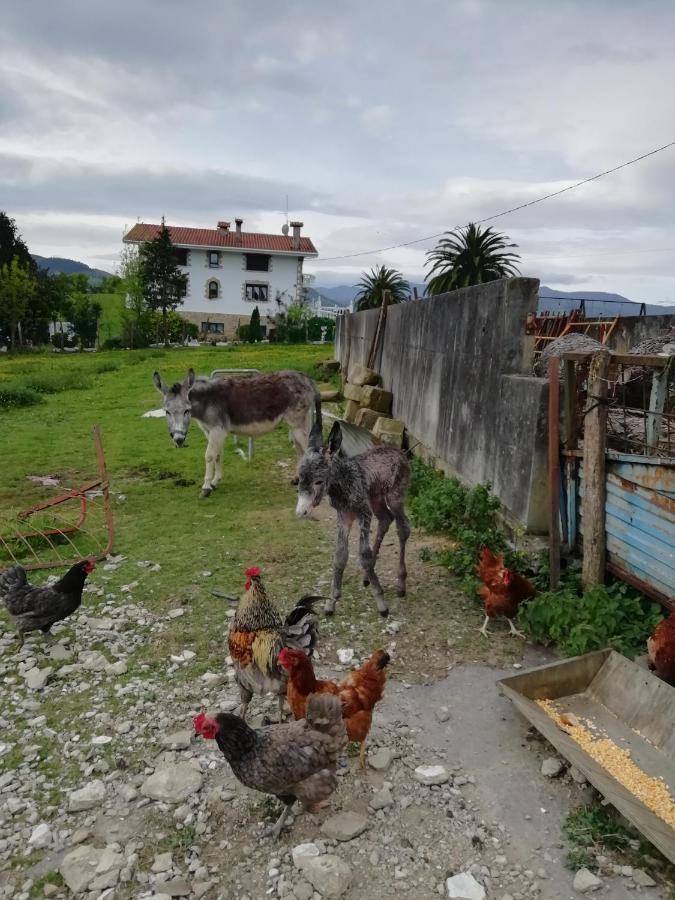 Agroturismo Pagoederraga Orio Exteriör bild