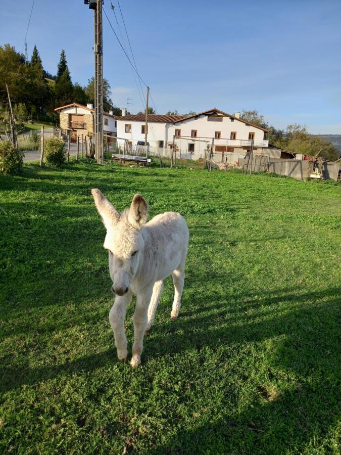 Agroturismo Pagoederraga Orio Exteriör bild