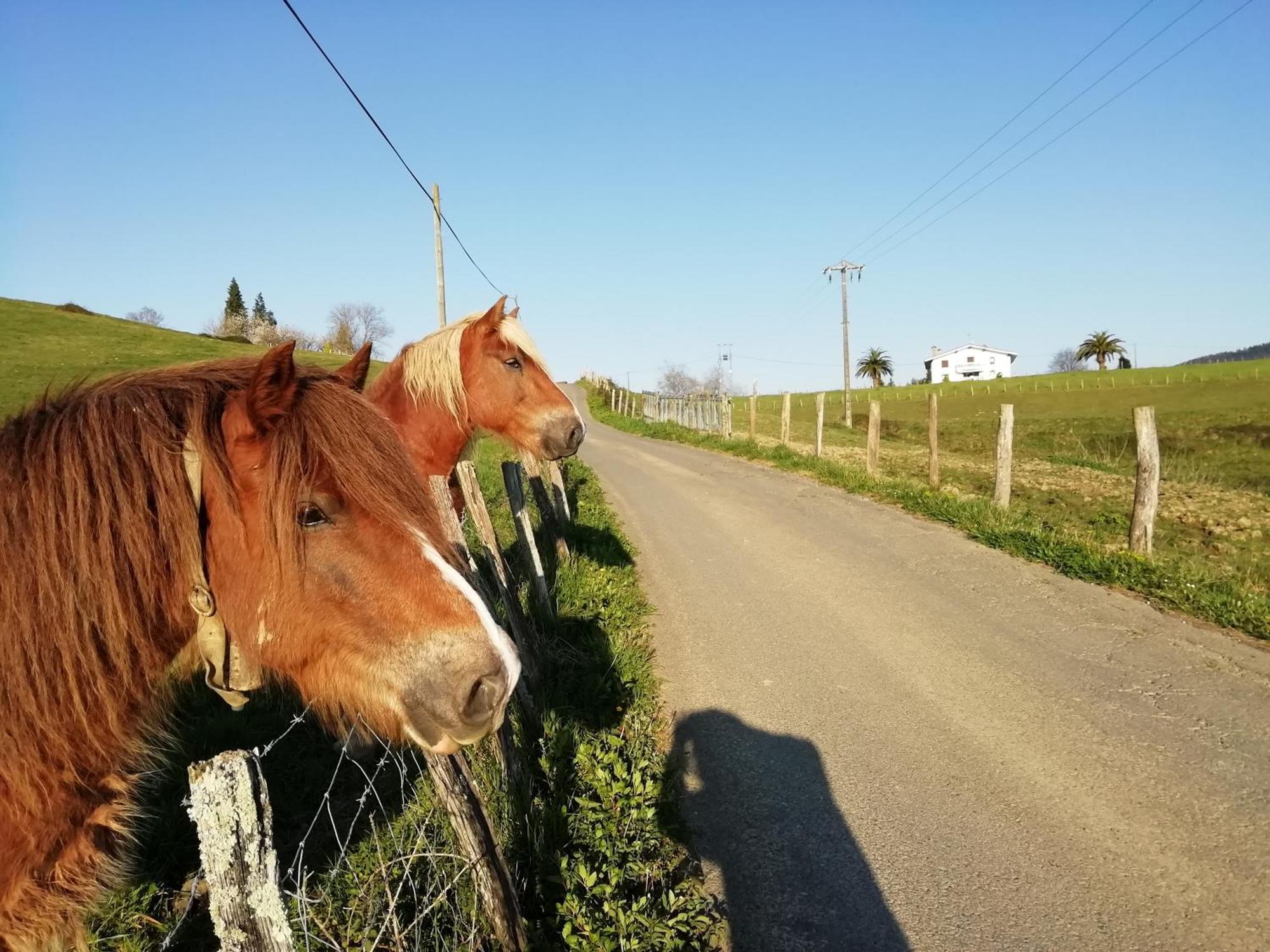 Agroturismo Pagoederraga Orio Exteriör bild