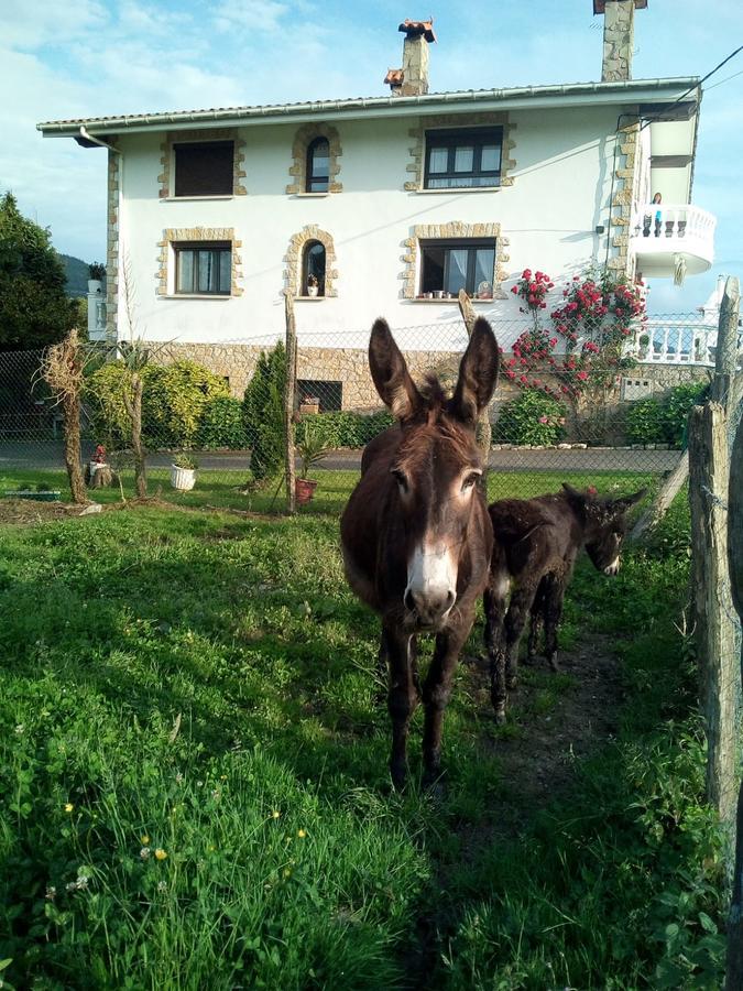 Agroturismo Pagoederraga Orio Exteriör bild