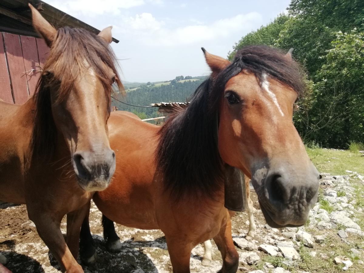Agroturismo Pagoederraga Orio Exteriör bild