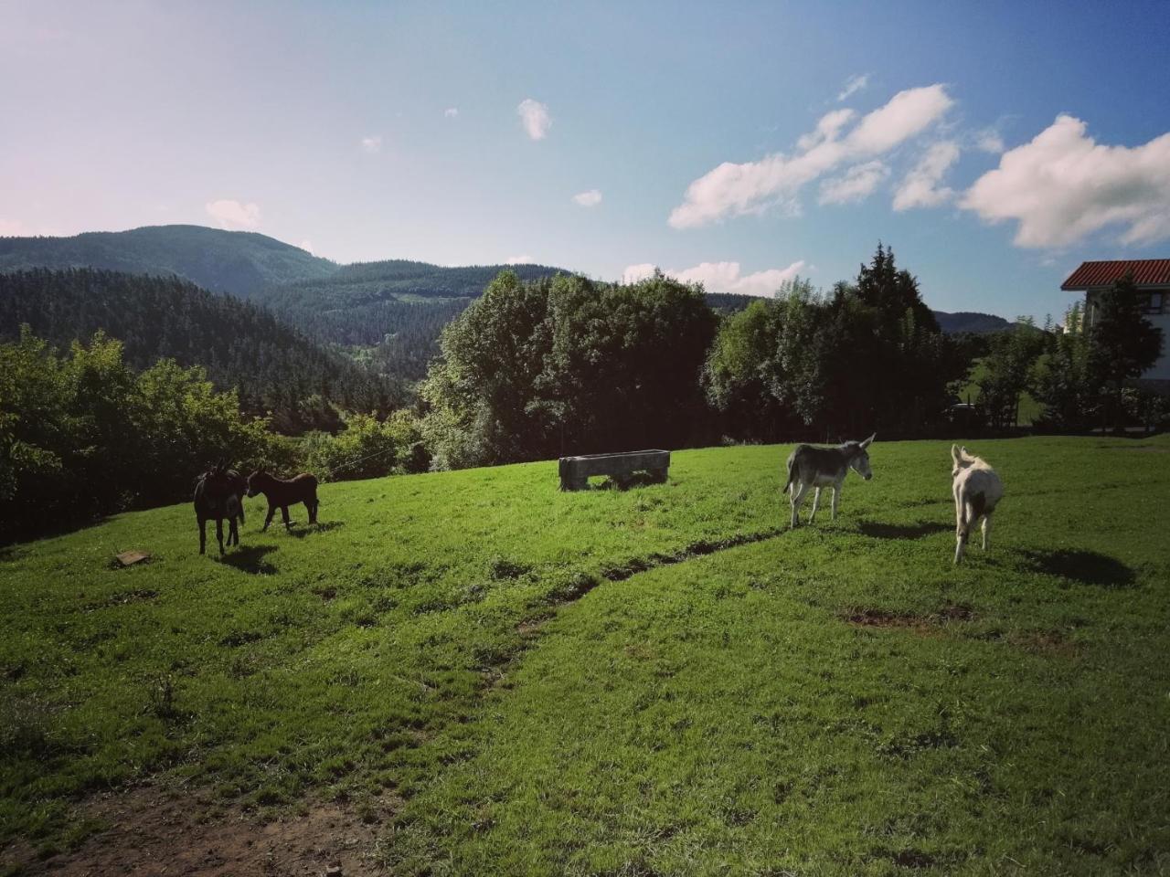 Agroturismo Pagoederraga Orio Exteriör bild