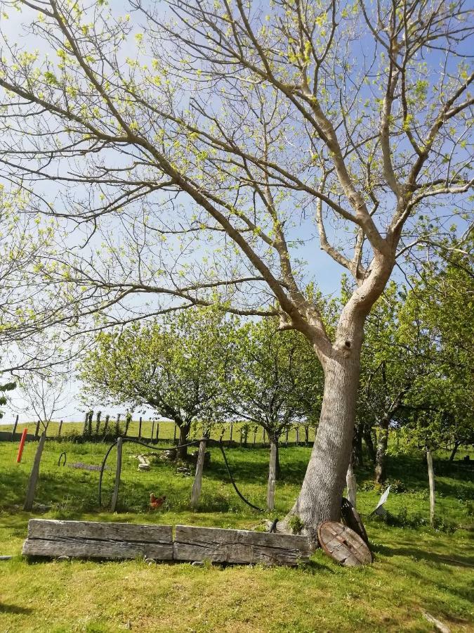 Agroturismo Pagoederraga Orio Exteriör bild