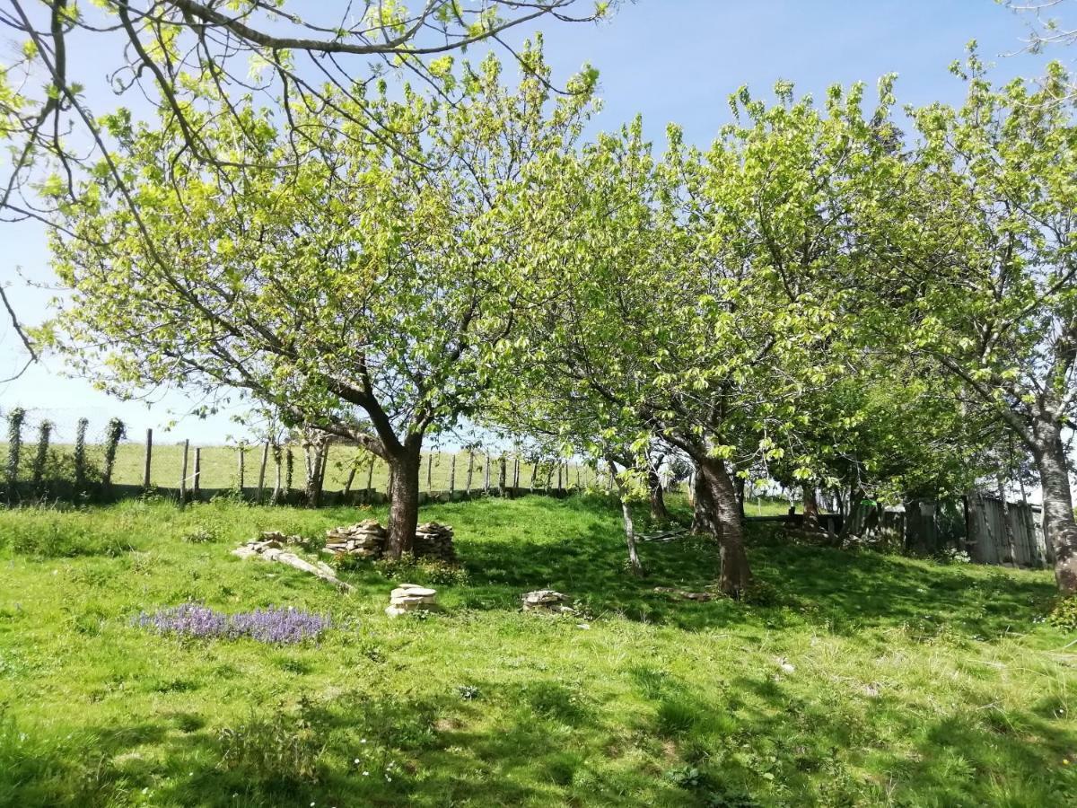 Agroturismo Pagoederraga Orio Exteriör bild